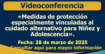 Videoconferencia: «Medidas de protección especialmente vinculadas al cuidado alternativo para Niñez y Adolescencia».