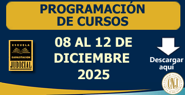 Programación de Cursos - 08 al 12 de Diciembre 2025