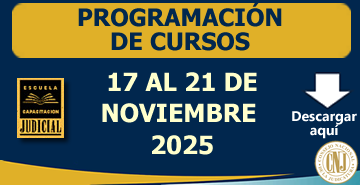 Programación Semanal de Cursos - 17 al 21 de Noviembre 2025