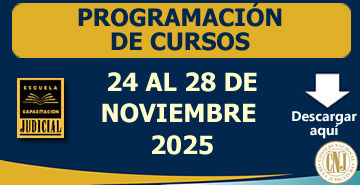 Programación Semanal de Cursos - 24 al 28 de Noviembre 2025