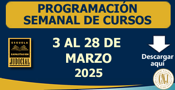Programación de Cursos - 01 al 28 de Marzo 2025